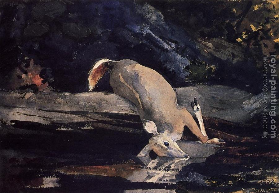 Winslow Homer : Fallen Deer II